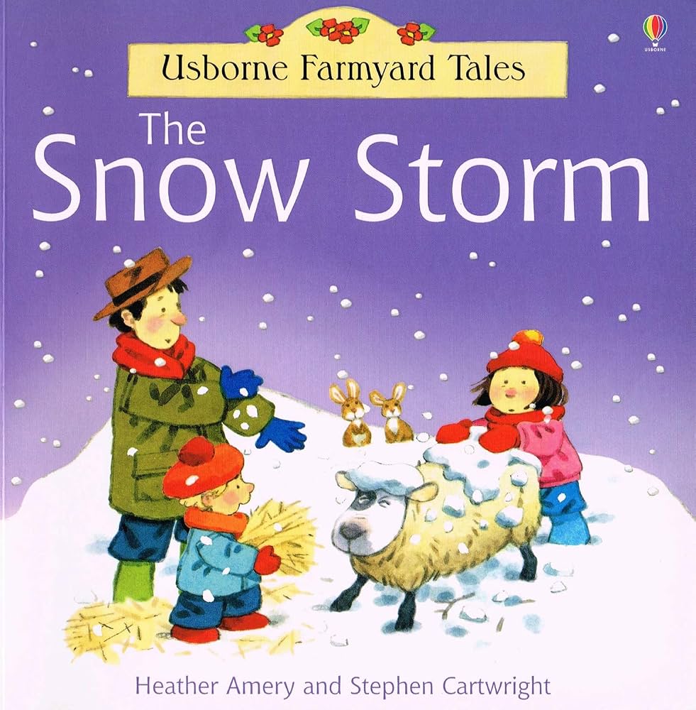 Cover of The Snow Storm