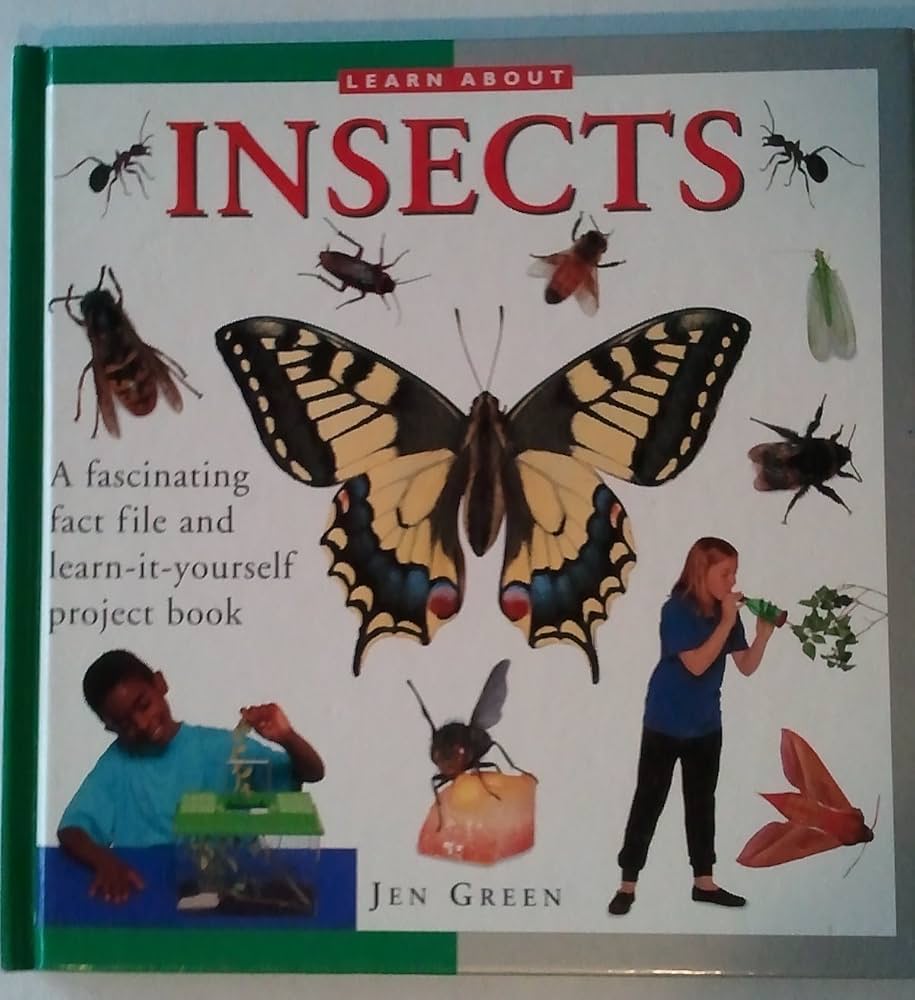 Cover of Learn About Insects