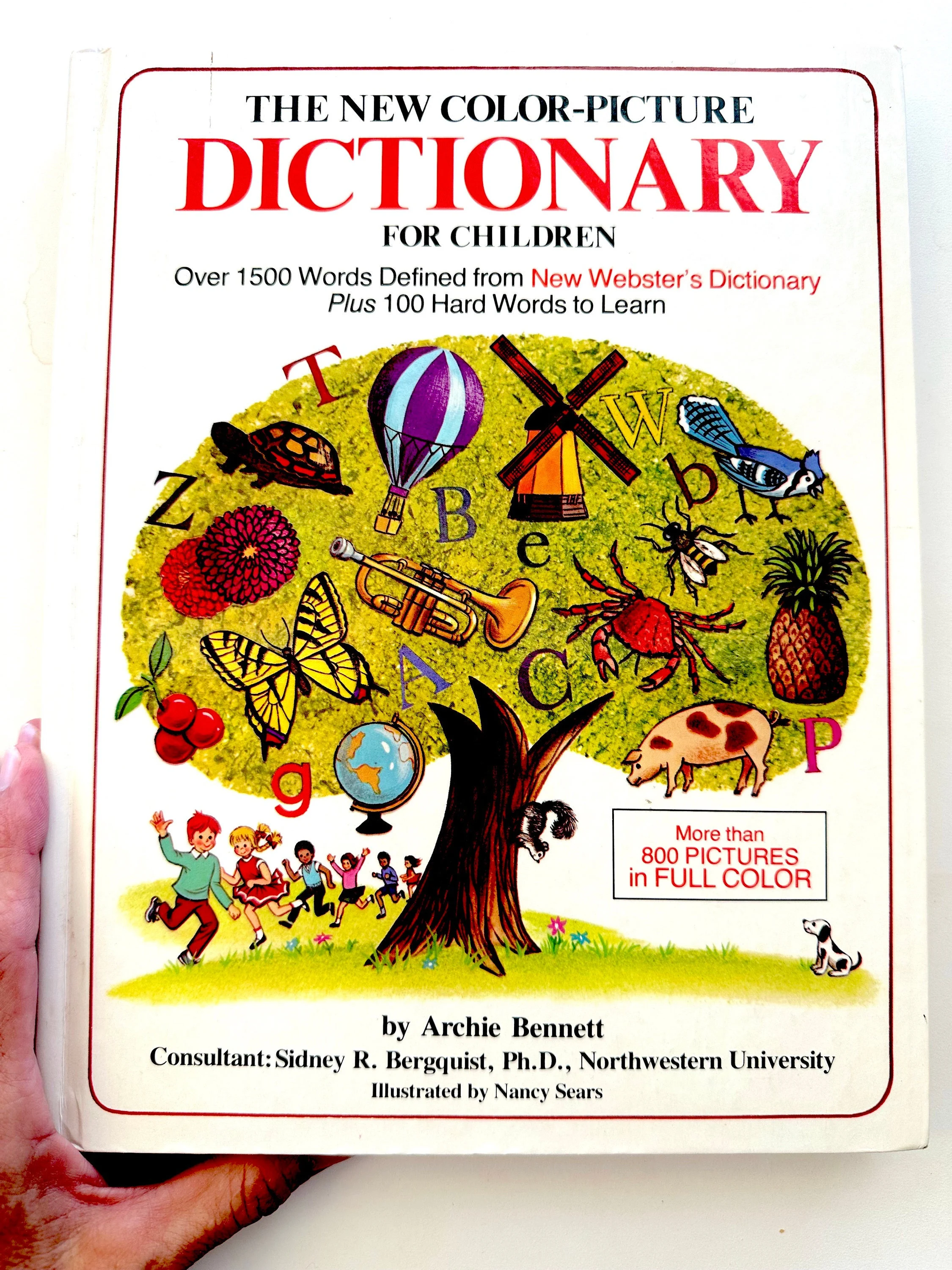 Cover of The New Colour-Picture Dictionary For Children